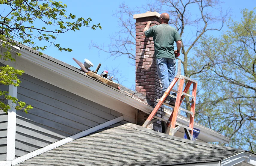 Chimney & Fireplace Inspections Services in Grapevine, TX